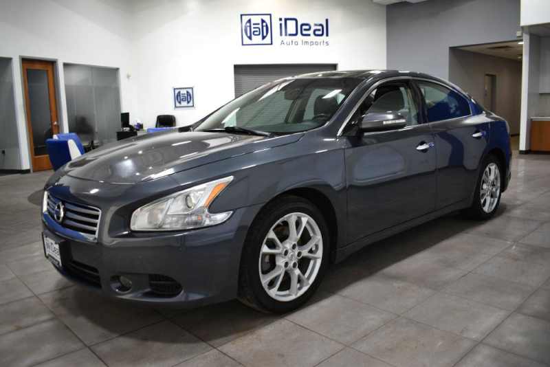 maxima grey multi